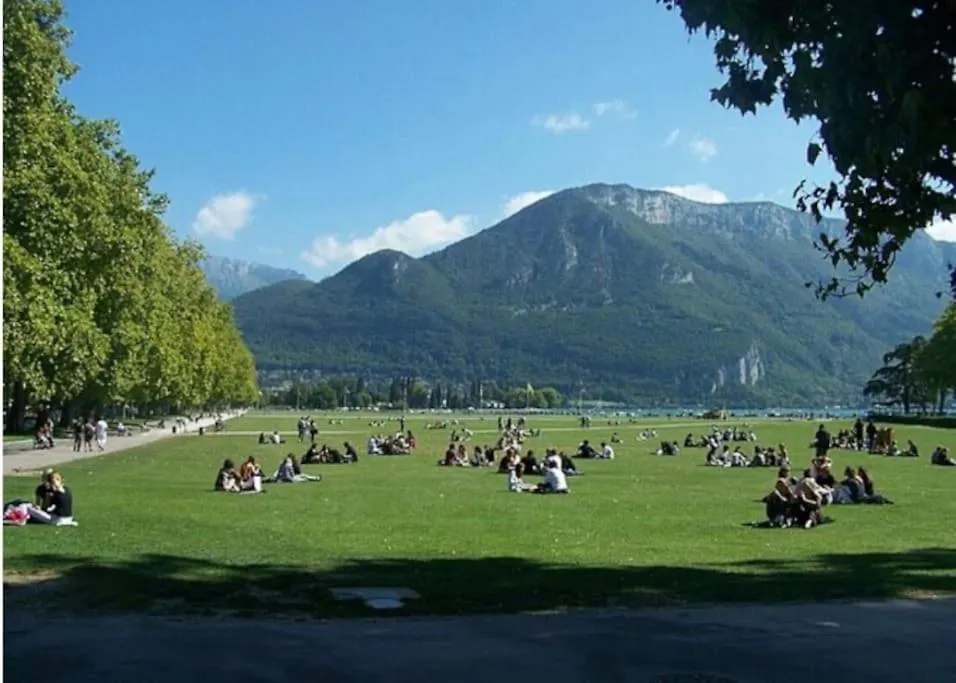 La Petite Venise Des Alpes, Ultra Centre 1 A 5 Pers Διαμέρισμα Άννεσι Γαλλία