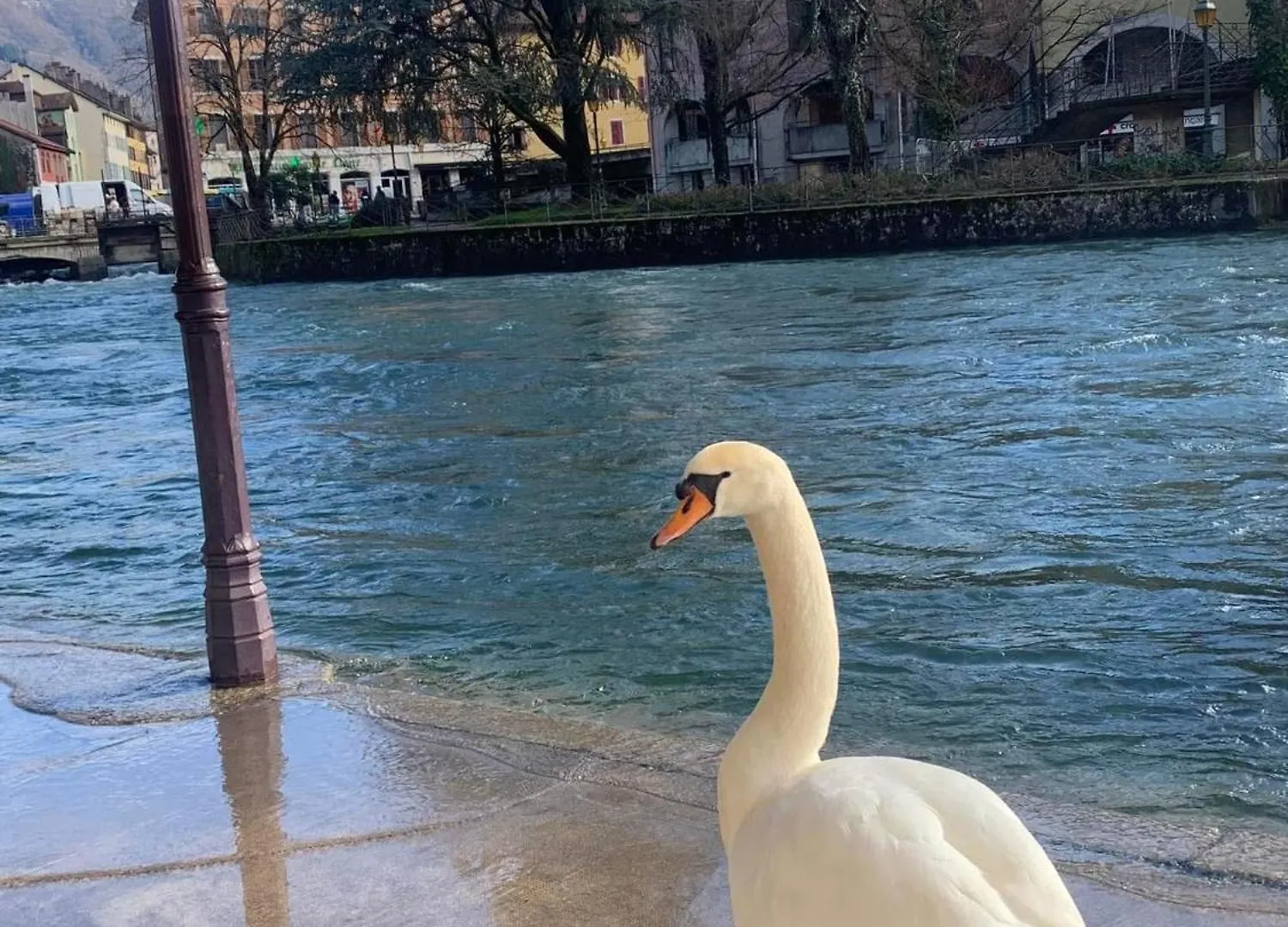 La Petite Venise Des Alpes, Ultra Centre 1 A 5 Pers Διαμέρισμα Άννεσι